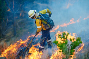 Emergency Management Services